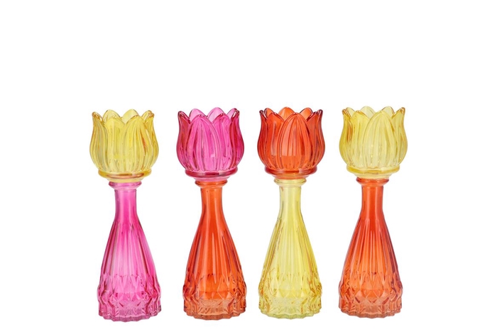 <h4>Bicolore Dutch Orange Mix Tulip Vase Ass 7x18cm</h4>