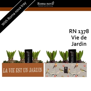 1378 - Vie de Jardin (Hyacint)