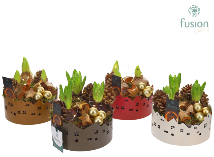 <h4>Zinken schaal Huisjes Small LED met Hyacinten</h4>