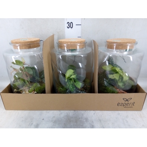 Arr.    Planten  H%