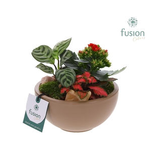 Schaal keramiek Moon Small beige Love met Arrangement