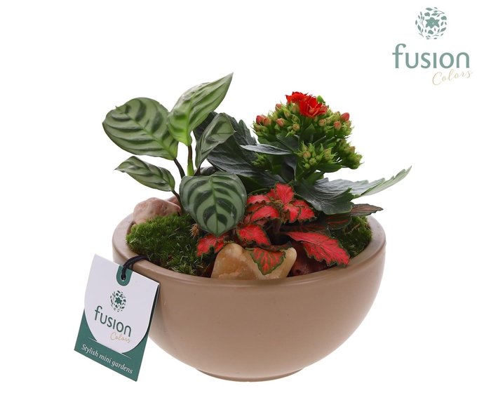 <h4>Schaal keramiek Moon Small beige Love met Arrangement</h4>