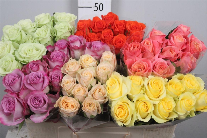 <h4>R Gr Gemengd In Fust</h4>