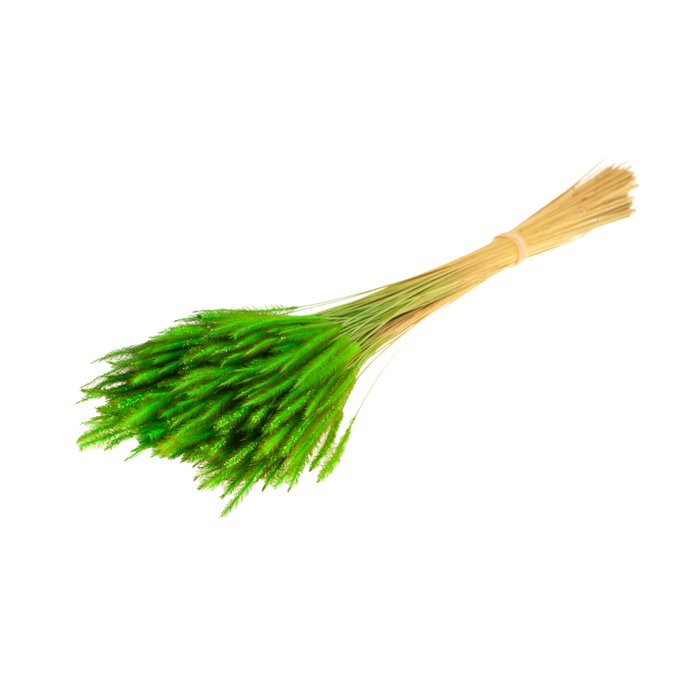 <h4>Soft Worms Grass Green</h4>