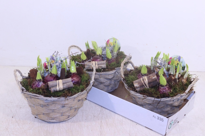 <h4>ARR BOL KNOLGEWAS</h4>