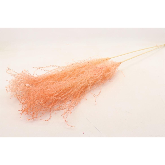 <h4>Bunch Grass  5 Pcs Slv L110</h4>