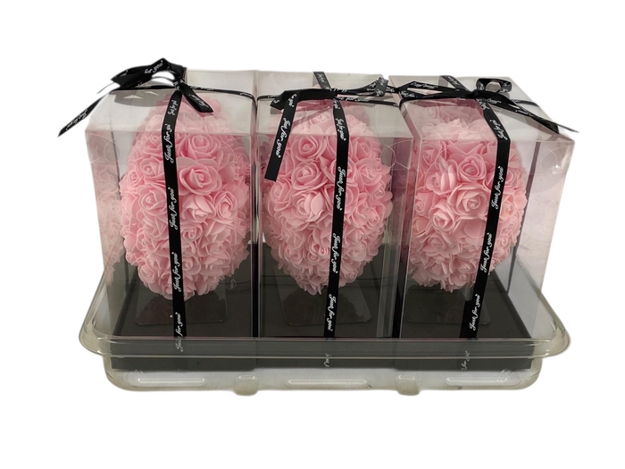 <h4>ARR ROSA POT H%</h4>