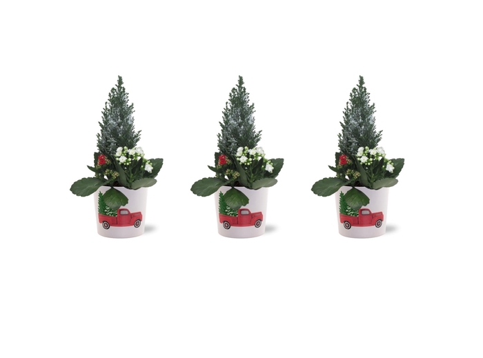<h4>Collectie "Craft World" Arrangement in keramiek Noel met sneeuw</h4>