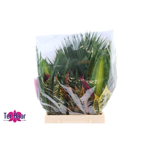 Bladmix Tropical Gem