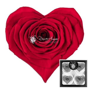 Corazon Bella Red02