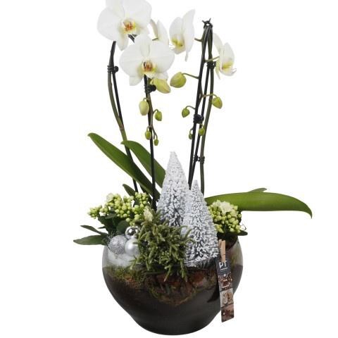 <h4>Opm Pt PTCHW4407 X-mas White Glas Schaal</h4>