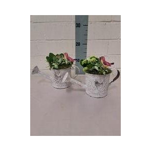 GieterJardin met vogeldeco