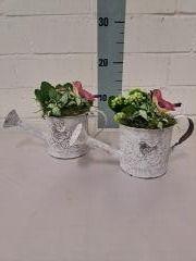 <h4>GieterJardin met vogeldeco</h4>