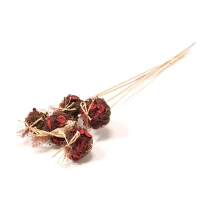 DRIED FLOWERS - POTPOURRI MIX 10P RED