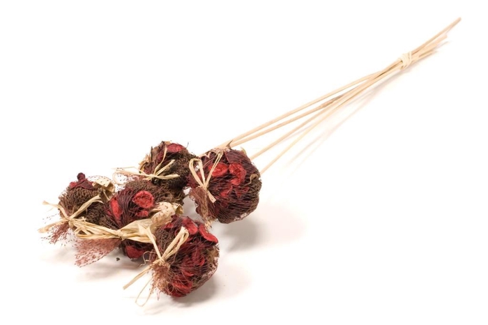 DRIED FLOWERS - POTPOURRI MIX 10P RED