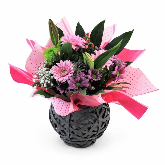 <h4>Aqua-Bulle Mand roze</h4>