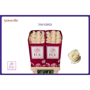 R GR VENDELA