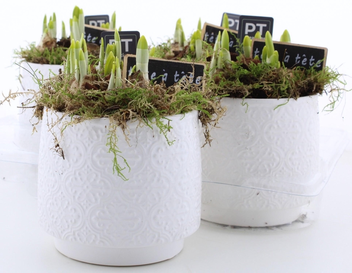 <h4>ARR N TETE A TETE</h4>