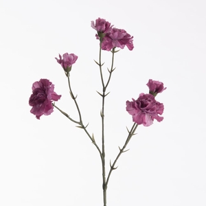 AF Dianthus x6 L56cm purple