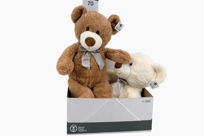 <h4>HUIS EN TUINDECO H%</h4>