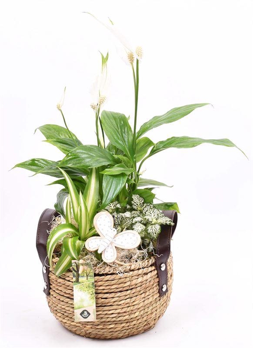 <h4>Touwmand met leer handv.18-20cm</h4>