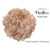 HYDR M PAMPAS 80 CM