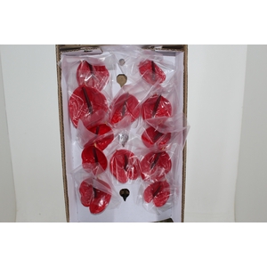 ANTHURIUM IMPULZ 9/11 035 CM DIAM MIN 9 CM VERMELHO