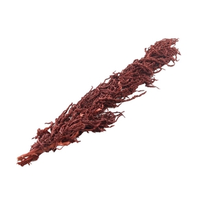 Amaranthus Caudatus Brown