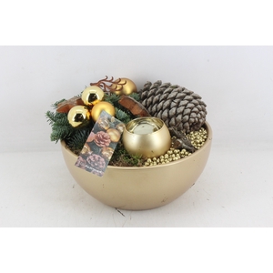 arr5 Kerst MB415 - Ker. bowl gold X
