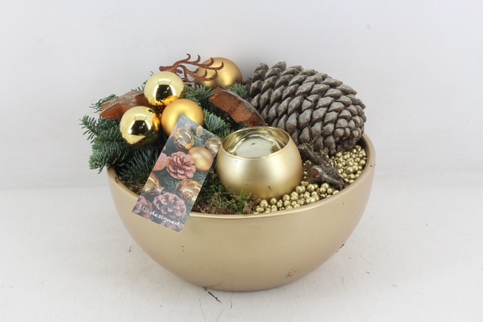 arr5 Kerst MB415 - Ker. bowl gold X