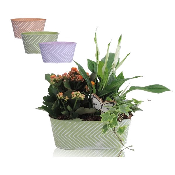 Collectie Wave arrangement in zinken pot ovaal 25 cm