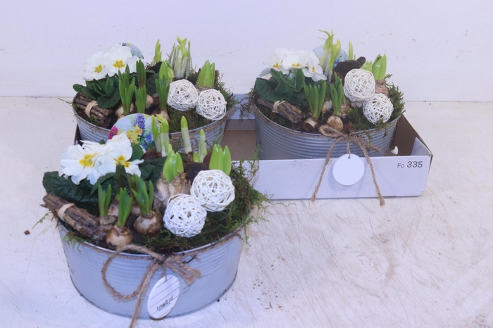 <h4>ARR TUINPLANTEN</h4>