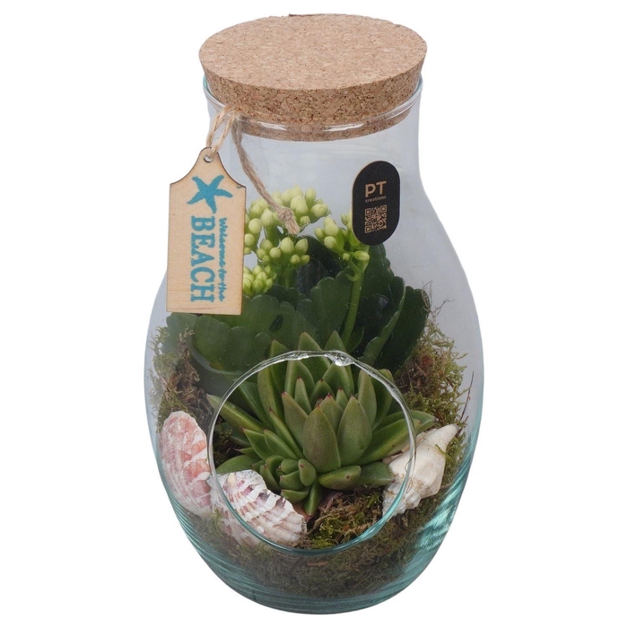 <h4>Arr. Planten L%</h4>