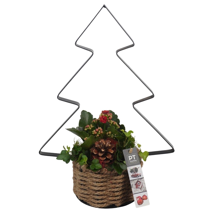 <h4>Arr. Kerst L%</h4>