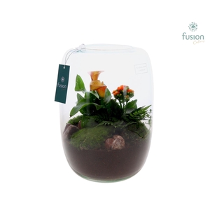 Green Bottle Isabella XLarge met Calla arrangement