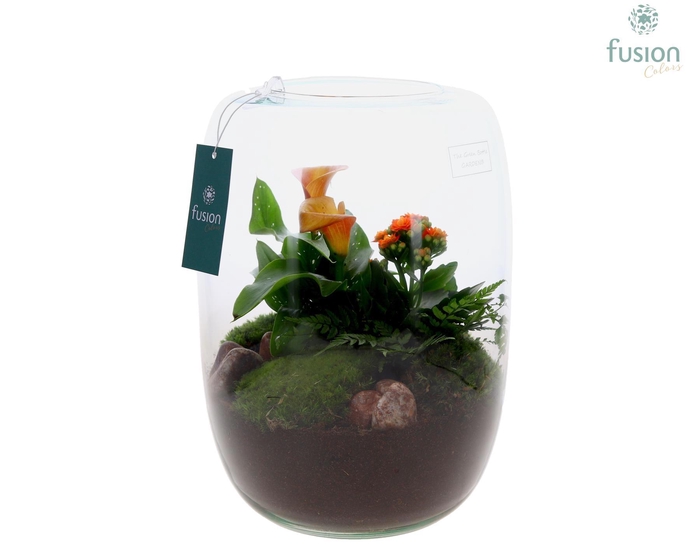 <h4>Green Bottle Isabella XLarge met Calla arrangement</h4>