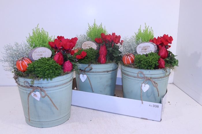 <h4>ARR TUINPLANTEN</h4>