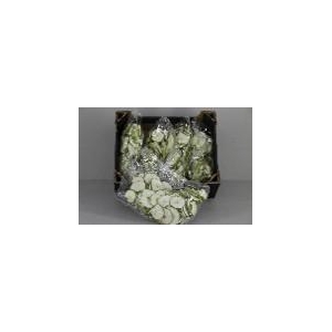 Frt Apple Slice Green (250g)