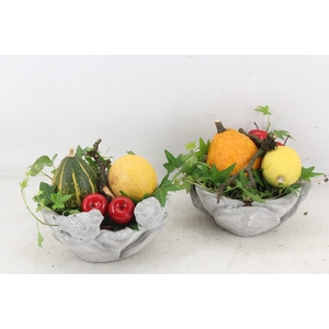 arr4 Sierfruit JS - Vogelschaal rond x4