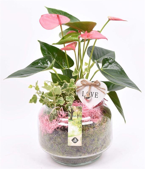 <h4>Glas op voet 18cm</h4>