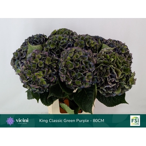 HYDR M ROYAL KING CL