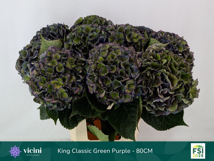 <h4>HYDR M ROYAL KING CL</h4>