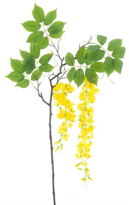 <h4>Wisteria alara spray yellow 142cm</h4>