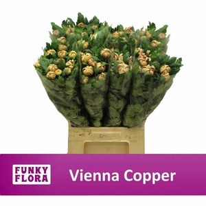 CHR G VIENNA COPPER