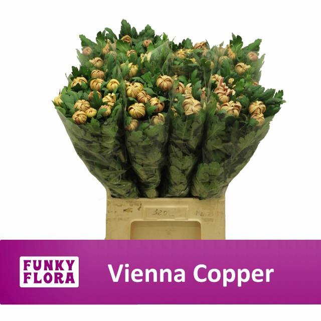 <h4>CHR G VIENNA COPPER</h4>