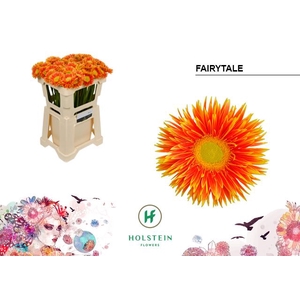 Germini Spider Fairytale Water x80