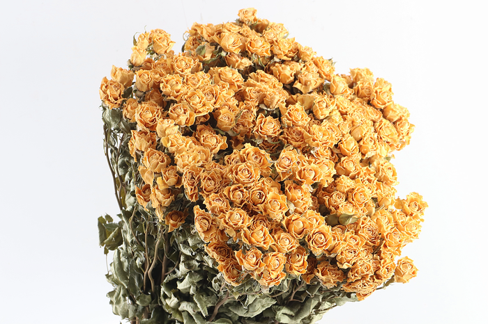 Roses Spray Yellow Natural