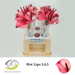 ANTH PR AMA HOT LIPS 40 L4,5