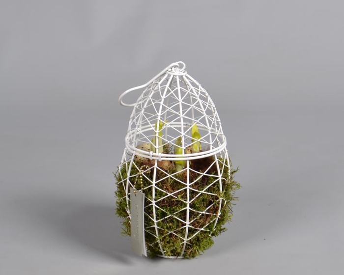 <h4>Metaal rek met Narcis Tat</h4>