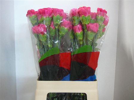 <h4>Di St Bizet</h4>